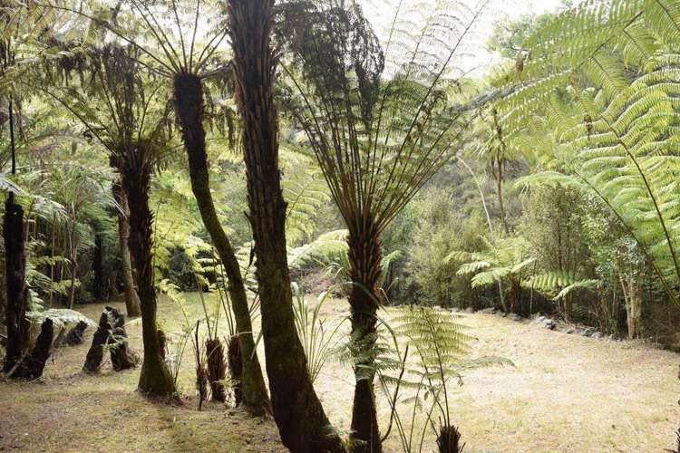 Address withheld Haruru_17