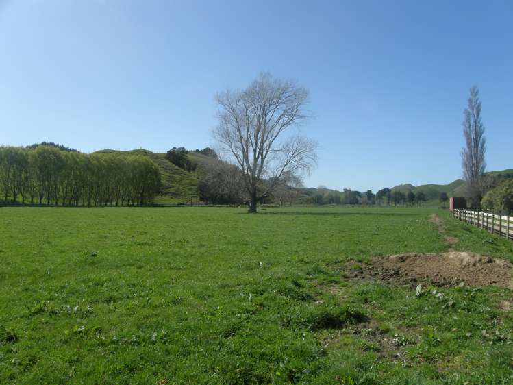 178 Okoia Road Okoia_10