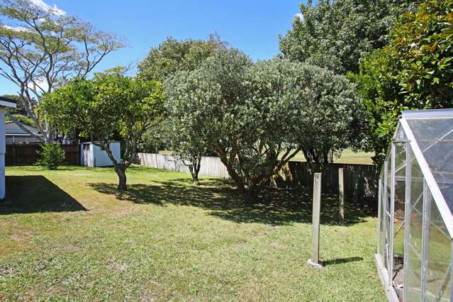 46 Martyn Street Waiuku_3