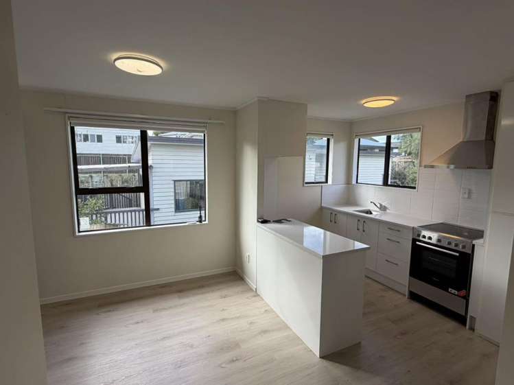 27H Rehia Road Massey_4
