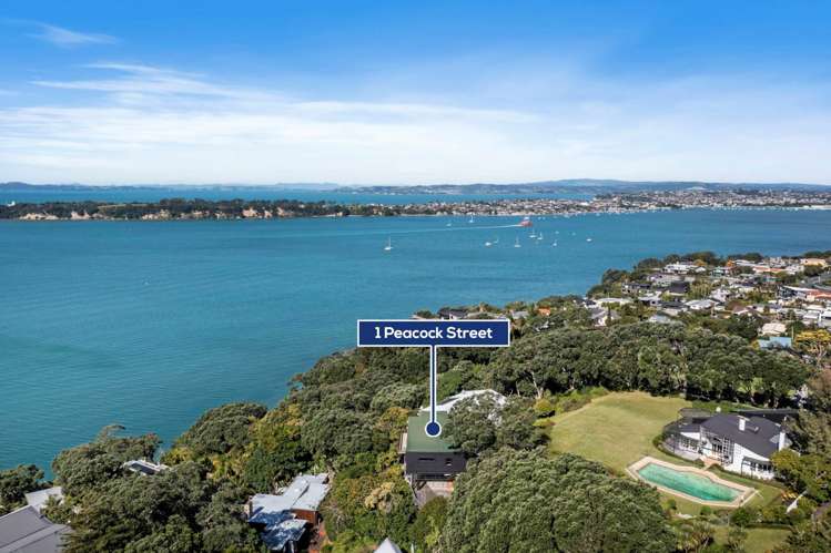 1 Peacock Street Glendowie_22