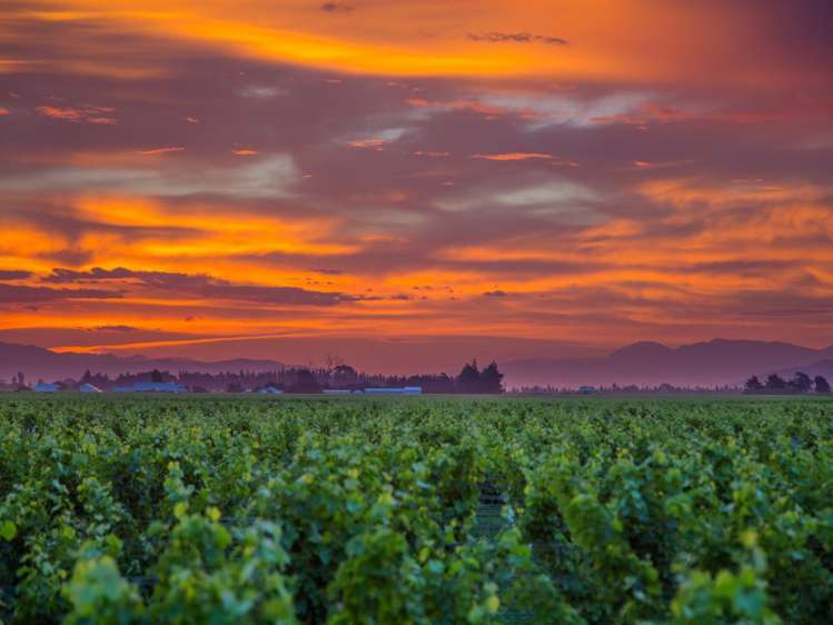 57 Selmes Road Rapaura_21