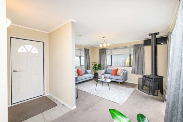 29A Denbigh Street Feilding_1