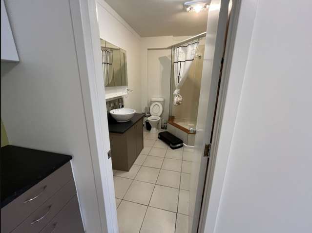 2A Richard Street Westmere_4