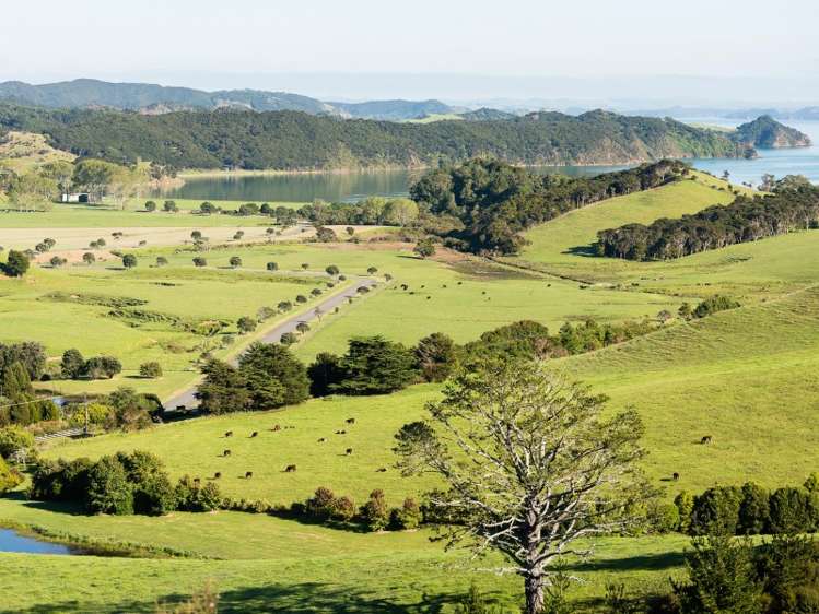 58 Kempthorne Road Russell_16