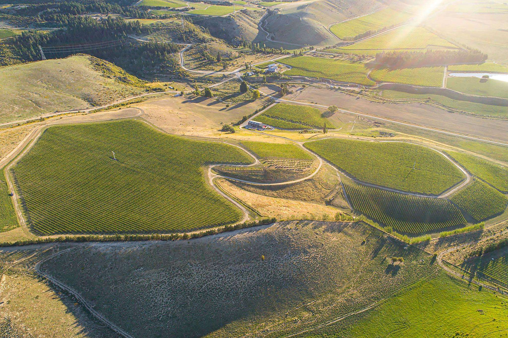 Premium Central Otago winery for sale