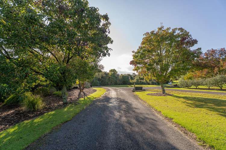 995F Purangi Road Cooks Beach_28