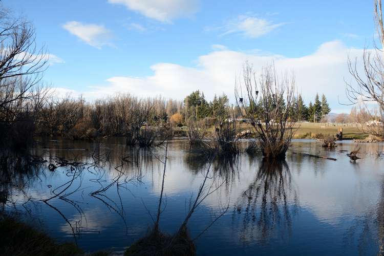 86 Lagoon Avenue Albert Town_5