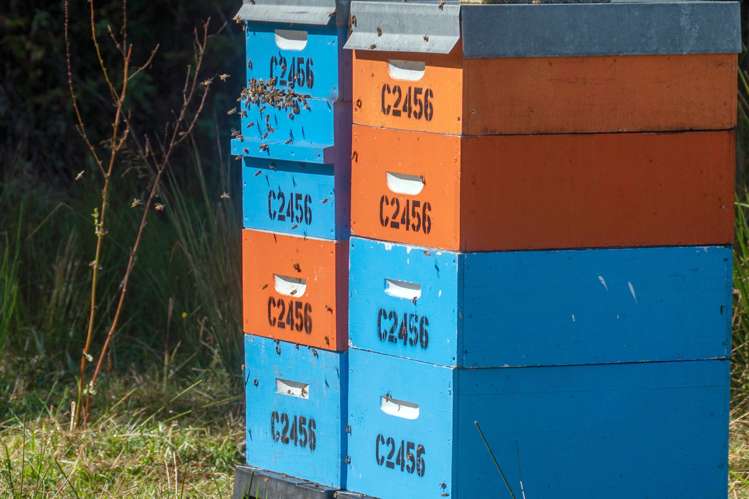 27 Tongaporutu Road Ohura_19