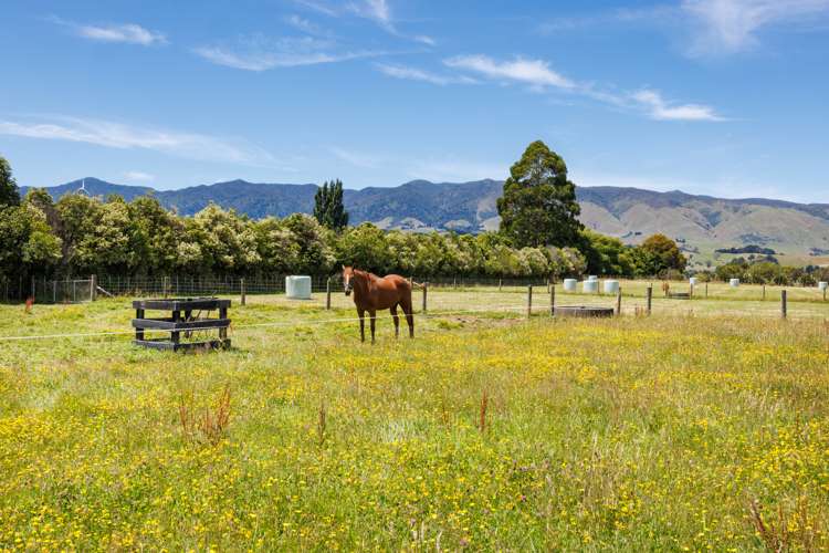 946d Finnis Road Pohangina_24