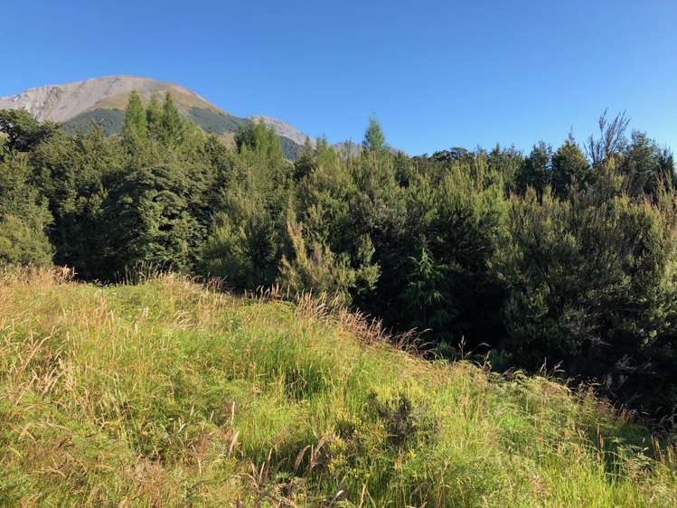 14 Terako Terrace Lyford_2