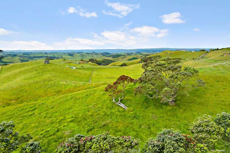 1702 Awhitu Road Pollok_7