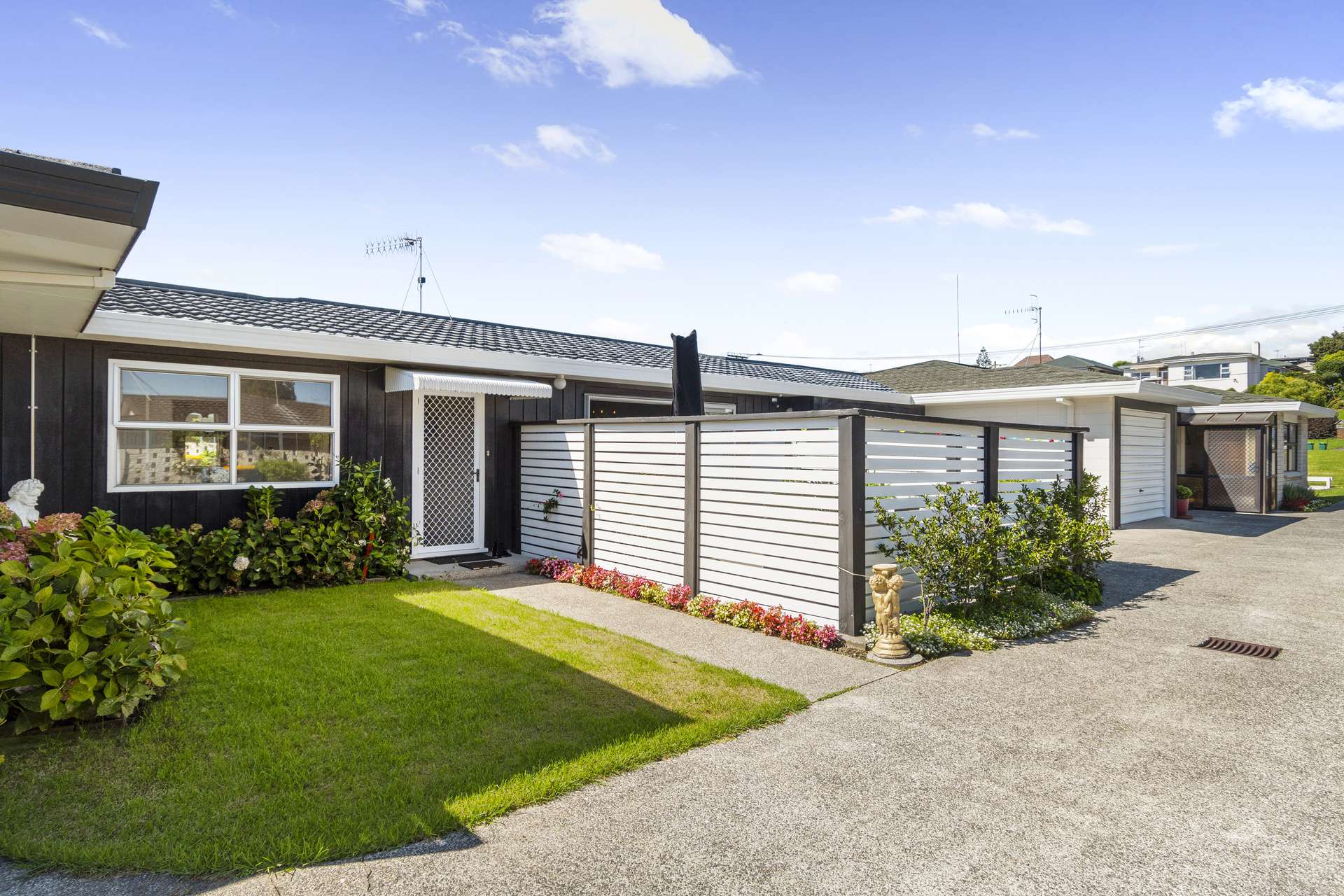 103b Twelfth Avenue Tauranga South_0