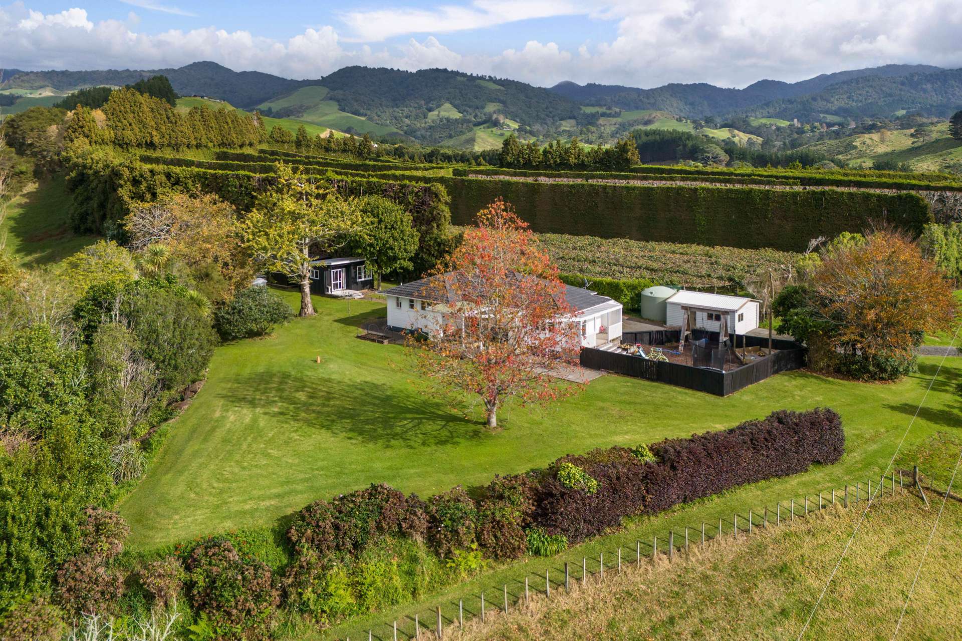 54b Chard Road Katikati_0