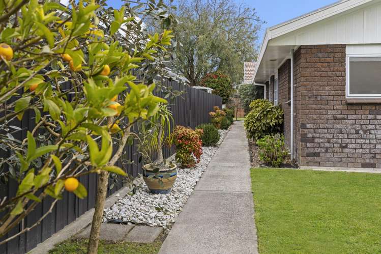 46 Ellerslie Avenue Chartwell_28