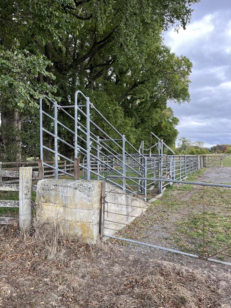 18 JG Wilson Drive Waipukurau_14