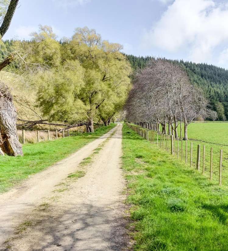 1584 Brunswick Road Kai Iwi_26