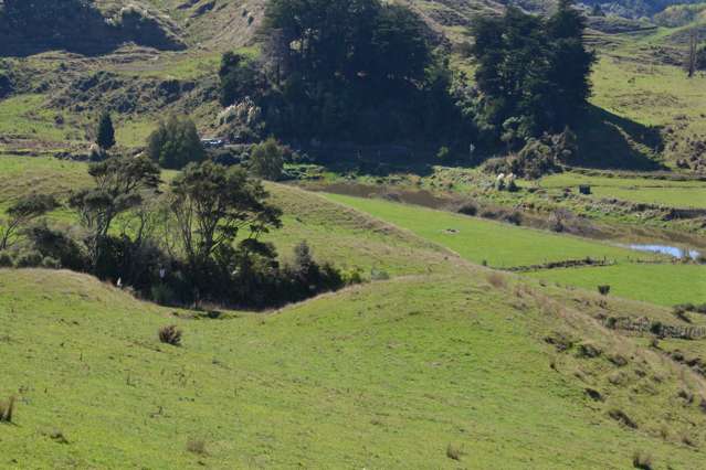 814 Awakau Road Mokau_3