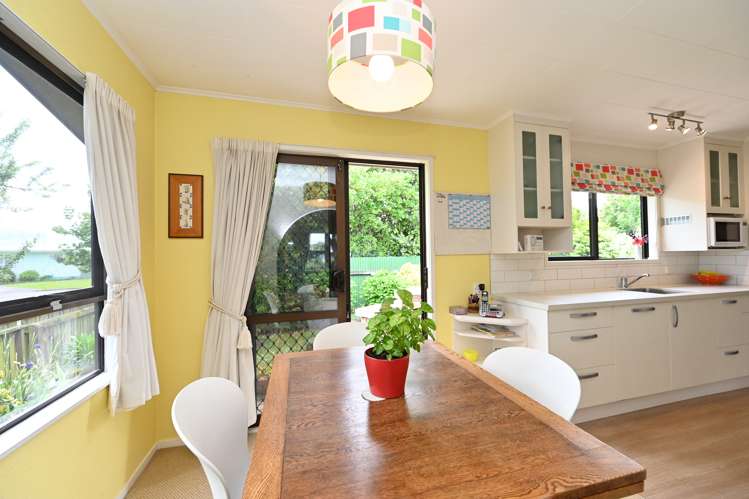 17 Sutherland Street Tamatea_8