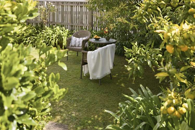 11 Lincoln Terrace Greerton_16