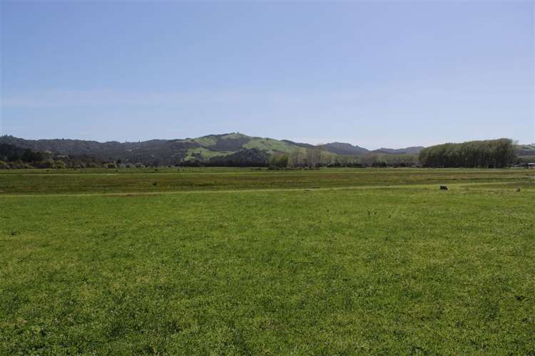 10 Bravo Place Whitianga_6