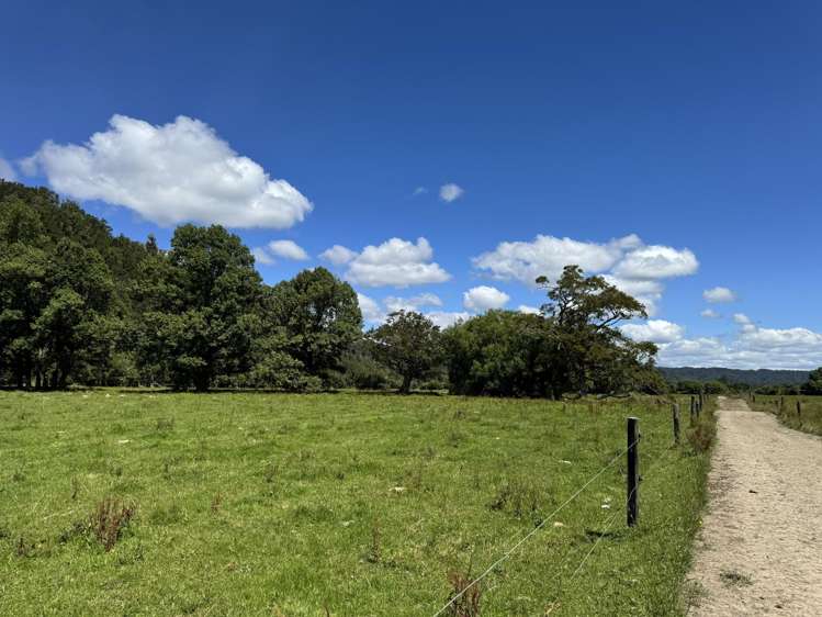 410 Maimai Road Reefton_28