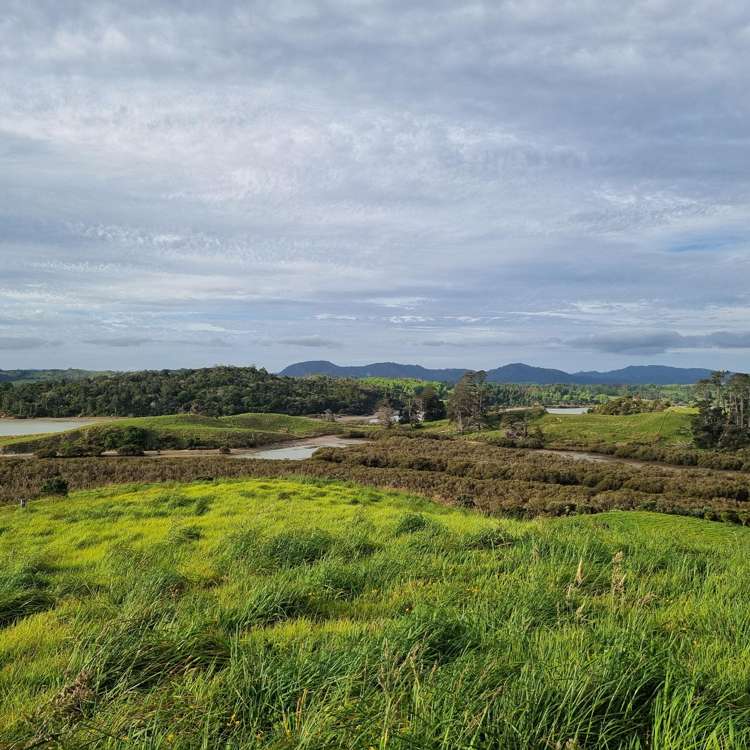 83 Hinamoki Drive Kaiwaka_14