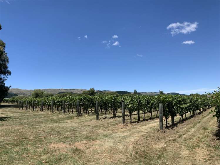 1114 Omihi Road Waipara_17