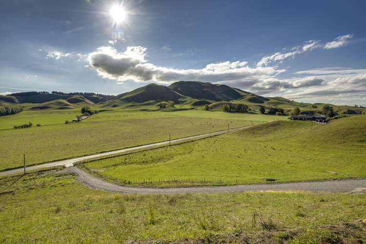 1427 Middle Road Poukawa_16