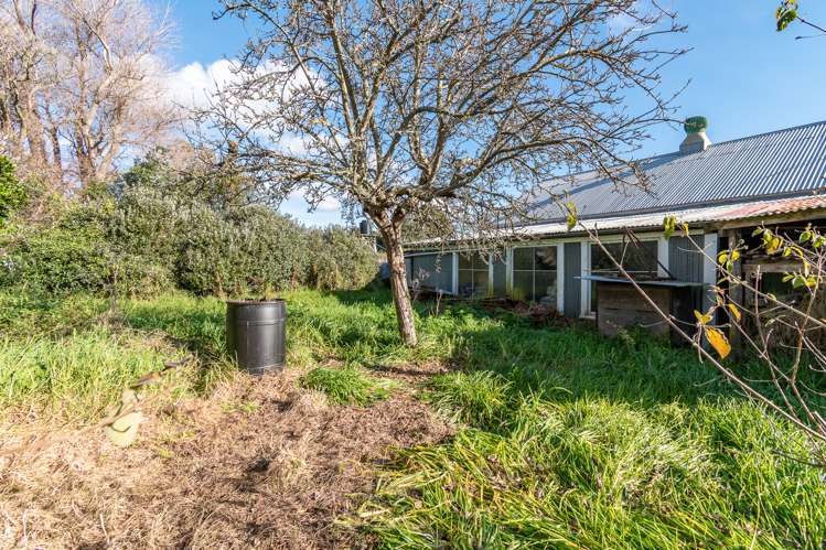 854 State Highway 1 Himatangi_22