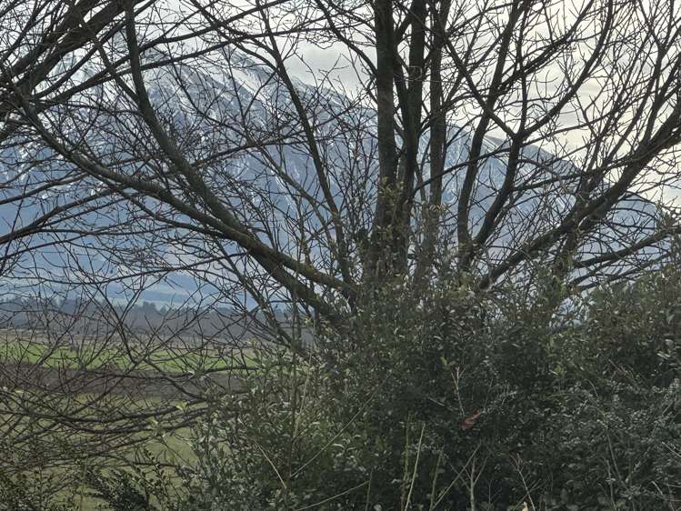 55 Racecourse Avenue Methven_15