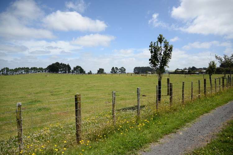 218 Kauri Road Onewhero_1