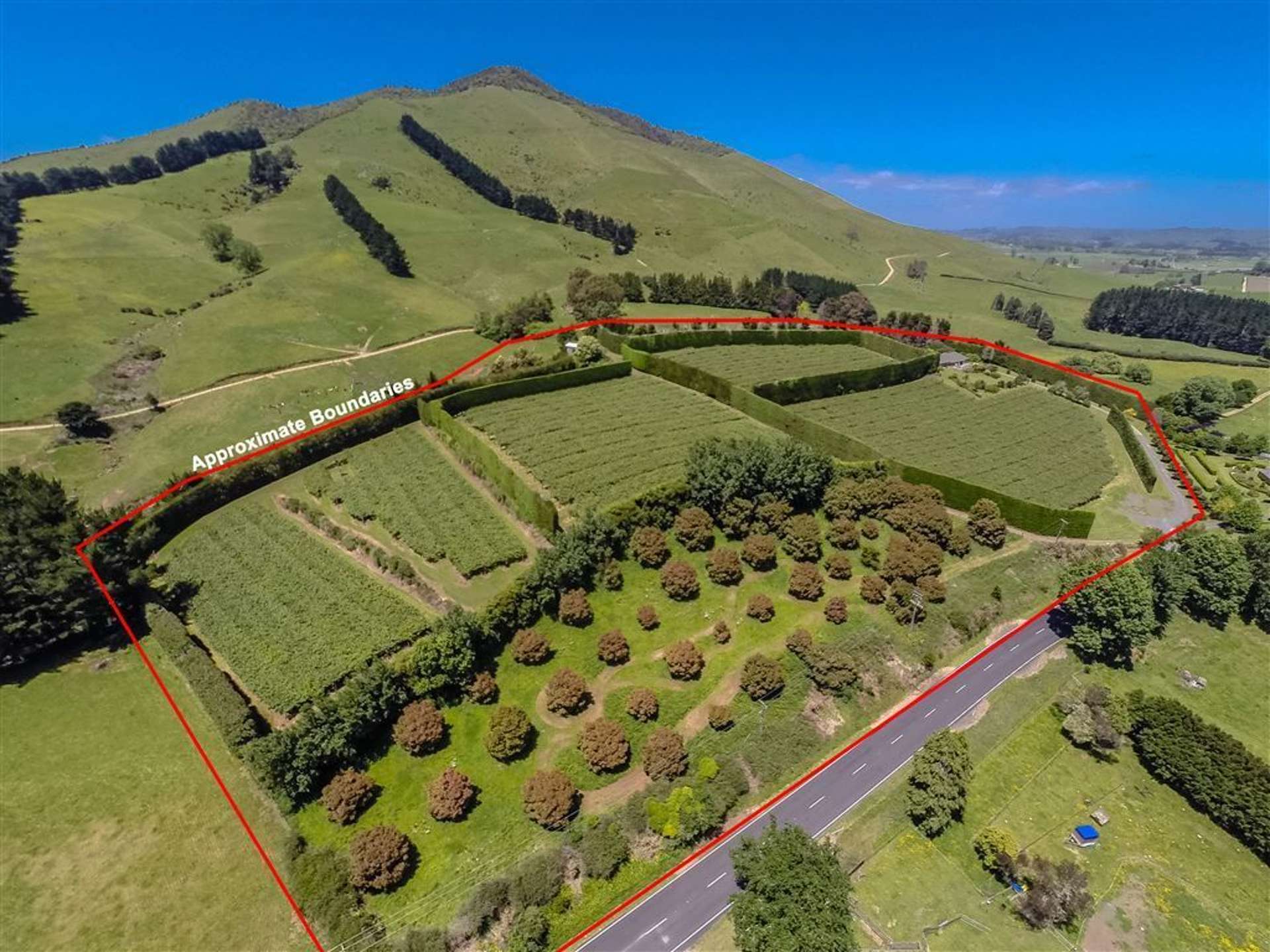 795 Pokuru Road Te Awamutu_0