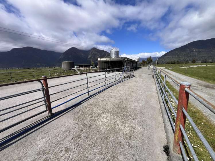117 Burrough Road Whataroa_9