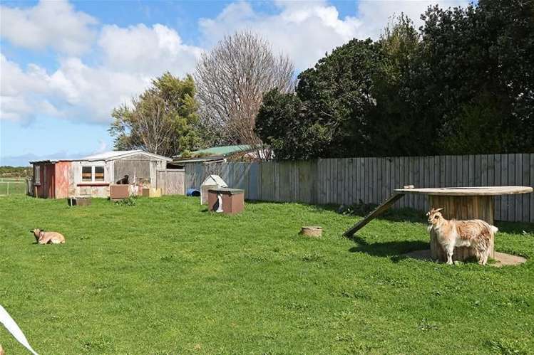 9 Manu Road Okaiawa_2