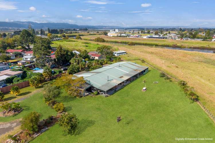 6 Nikau Place Edgecumbe_32