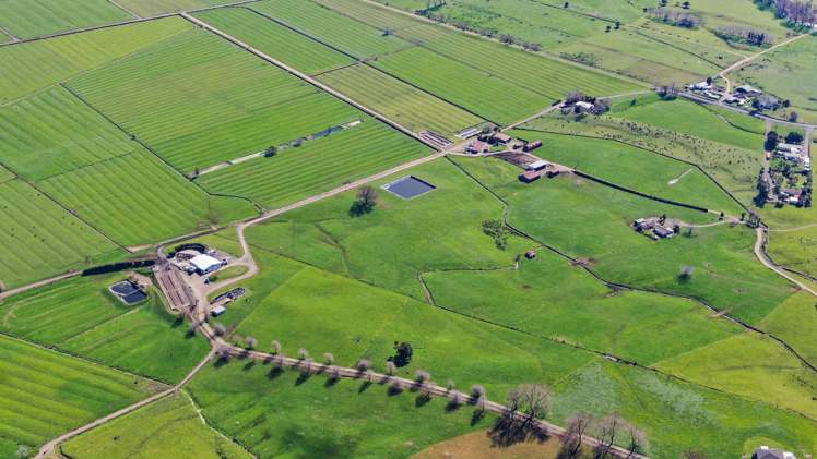 81 Station Road Puriri_21