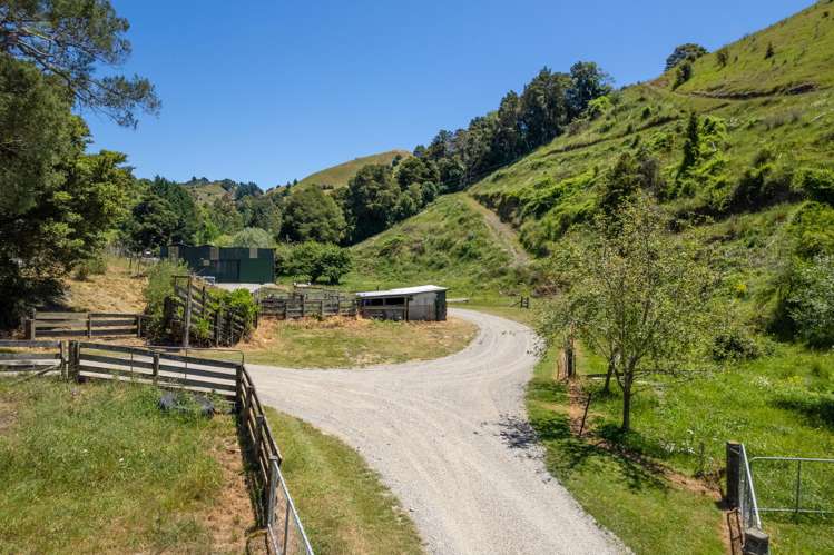 80 Garden Valley Road Wairoa Valley_29