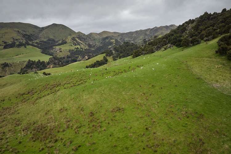 3717 Inland Kaikoura Road Mt Lyford_26