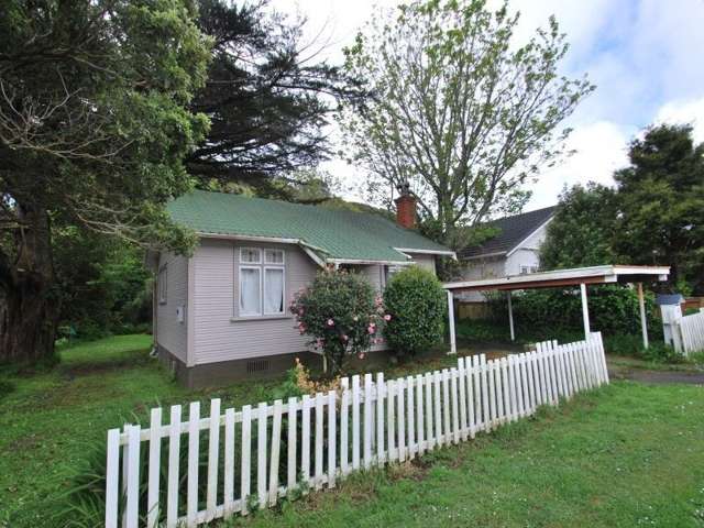 16 Ranelagh Street Karori_1