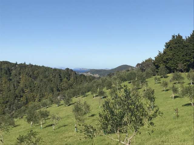 137a Pukenui Road Ngunguru_3