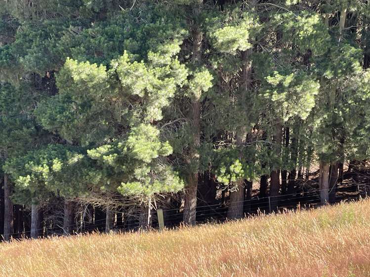 186 Murray Road Lawrence_22