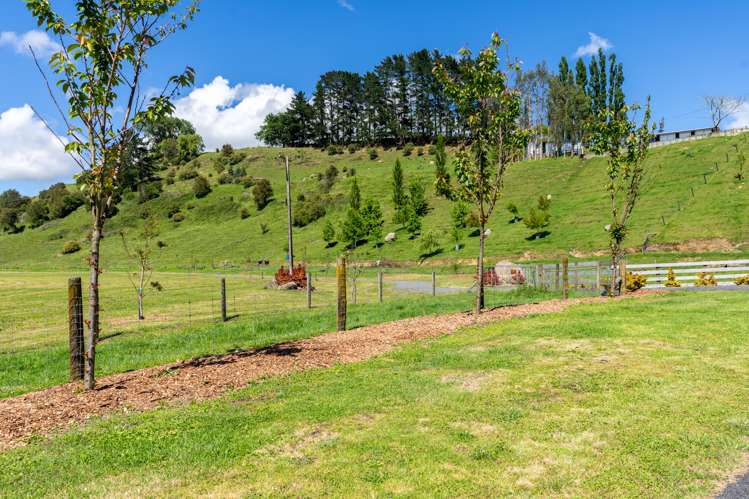 2310 Maungatautari Road Maungatautari_2