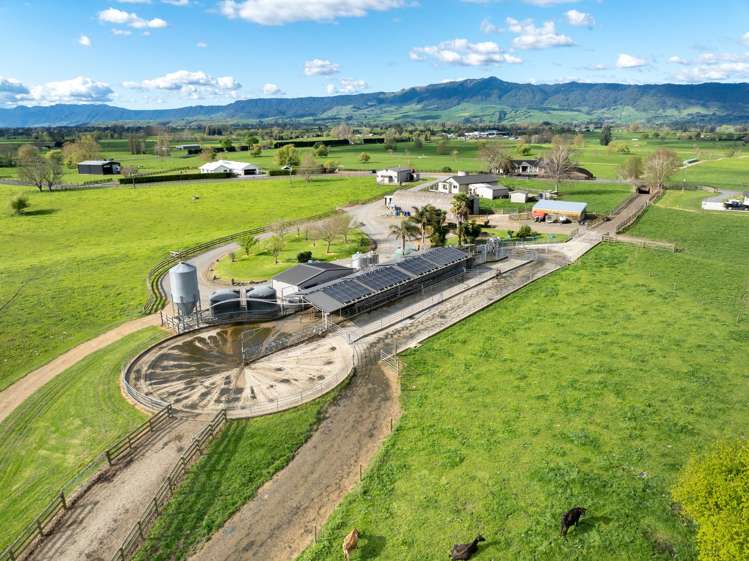 52 Kerr Road, RD 3, Te Poi Matamata_9