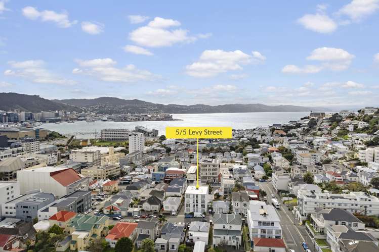 5/5 Levy Street Mount Victoria_15