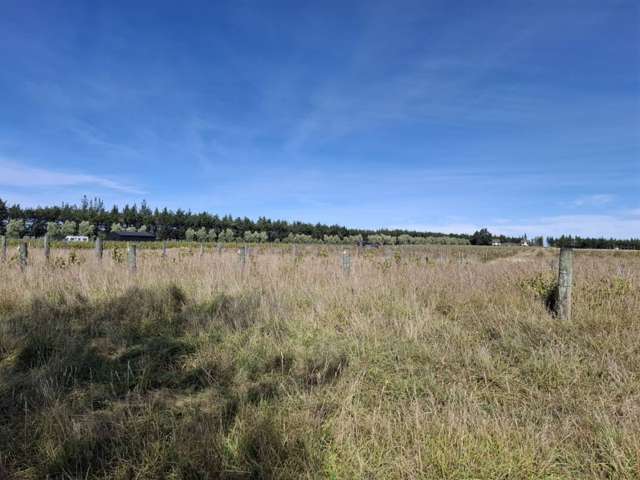 244D Georges Road Amberley_4