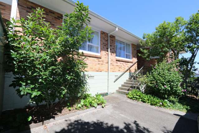 1377b Dominion Road Mount Roskill_1