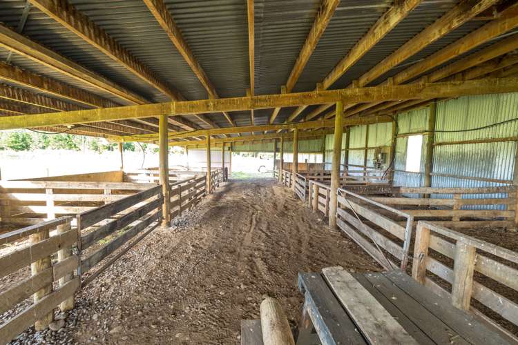 4579 Arundel Rakaia Gorge Road Mount Somers_13