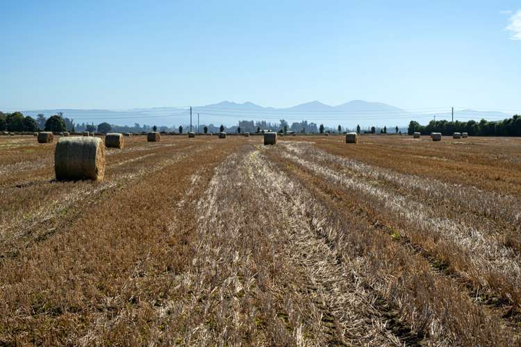 400 Factory Road Winchester_4