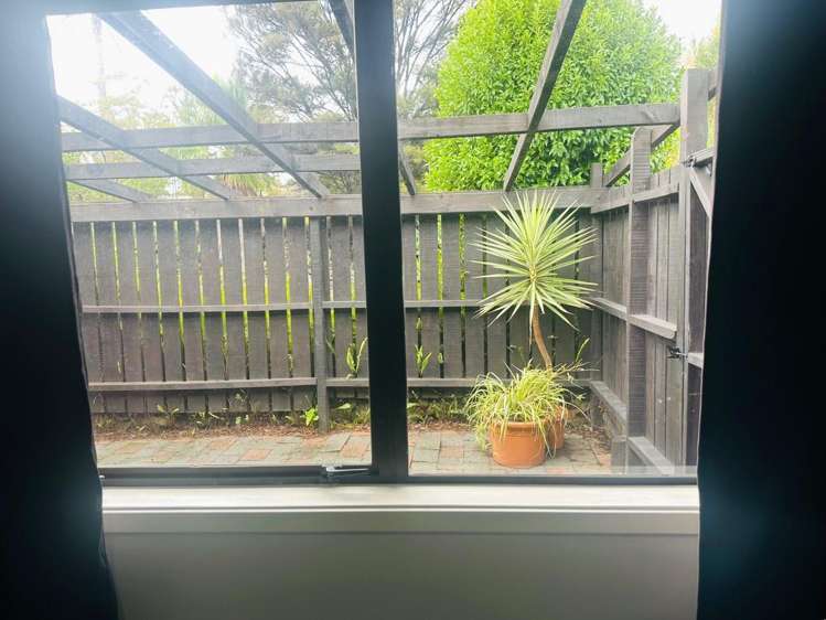 3 / 1 Ash Grove Circle Haruru_20